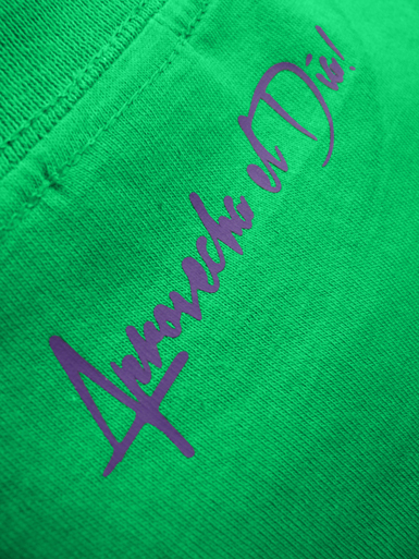 Daily Hero [NEEMT / OCCUPY / SQUATTING] - t-shirt - purple, white on kelly green // Photo 3